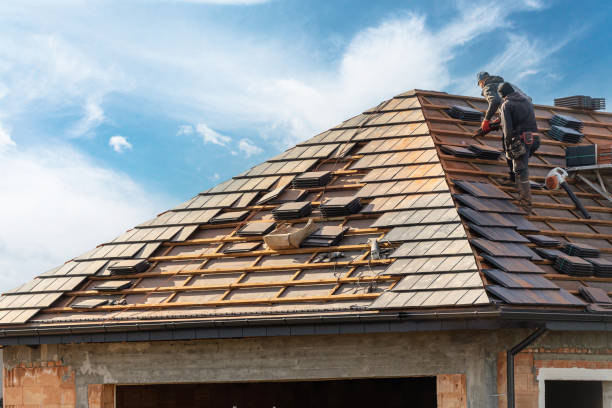 Best Roof Maintenance and Cleaning  in USA